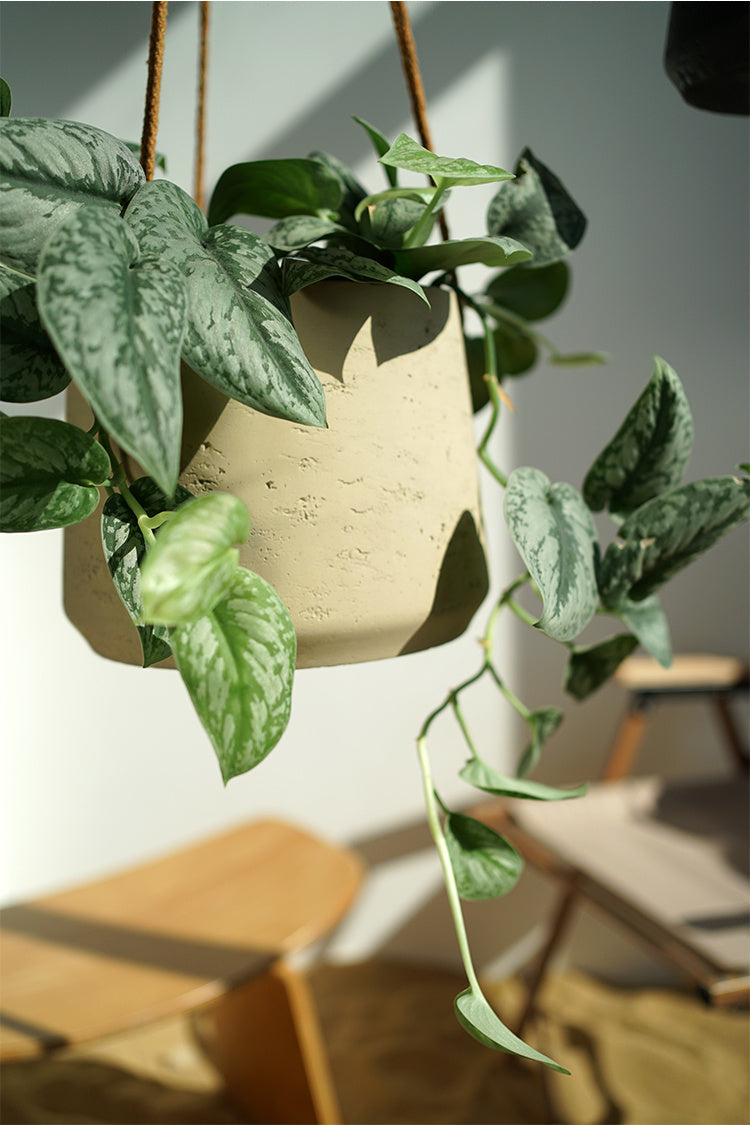 cement flower pot