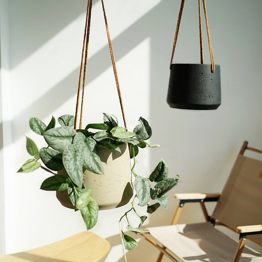 cement flower pot