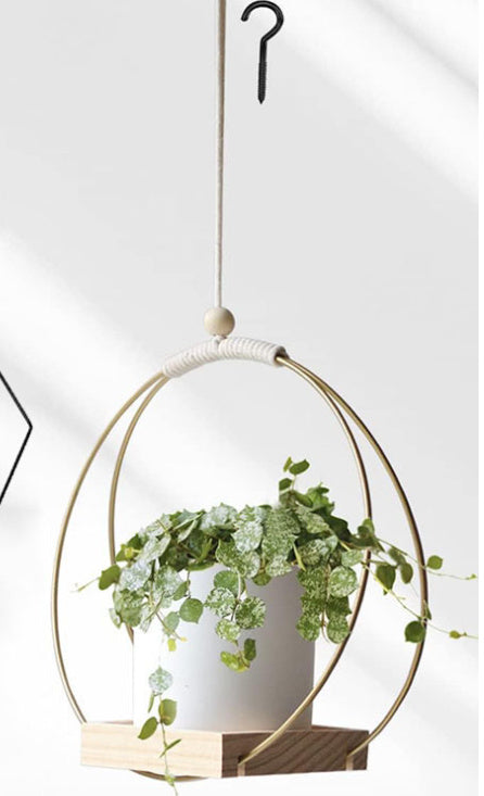 plant bracket