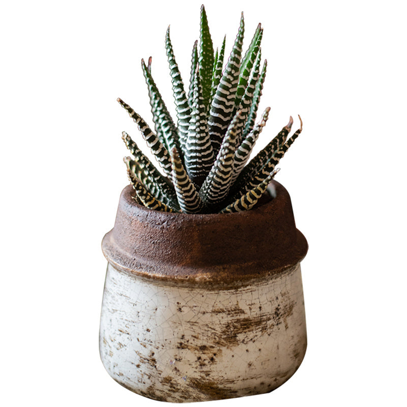 modern ceramic vase

