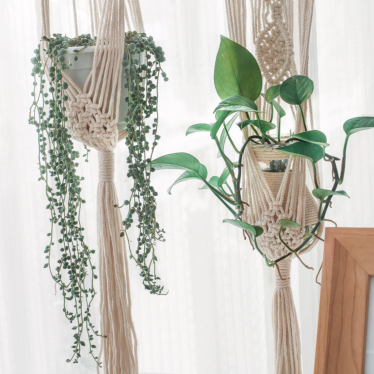 hanging flower basket

