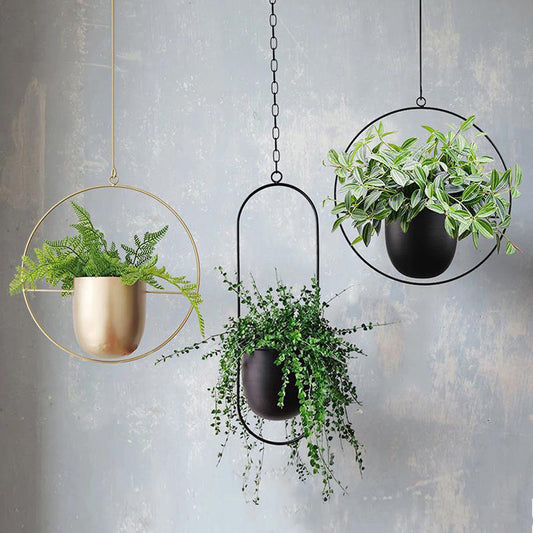  plant planter