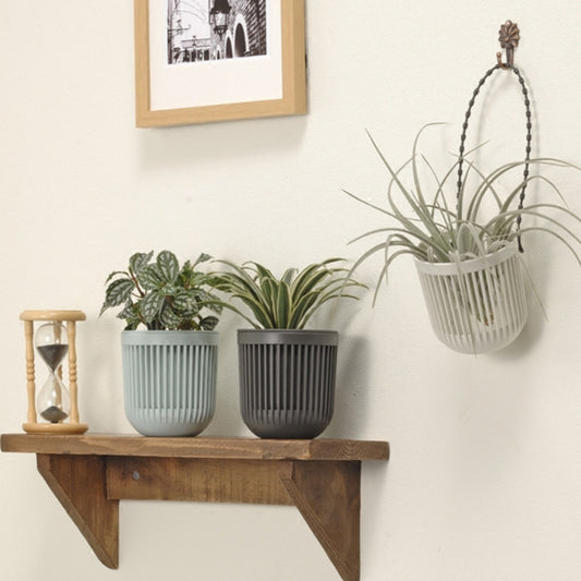 green plant pot

