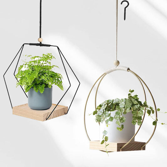 plant bracket

