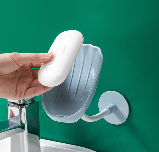 Shell soapbox bathroom

