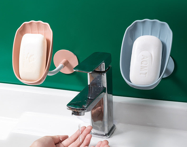 Shell soapbox bathroom

