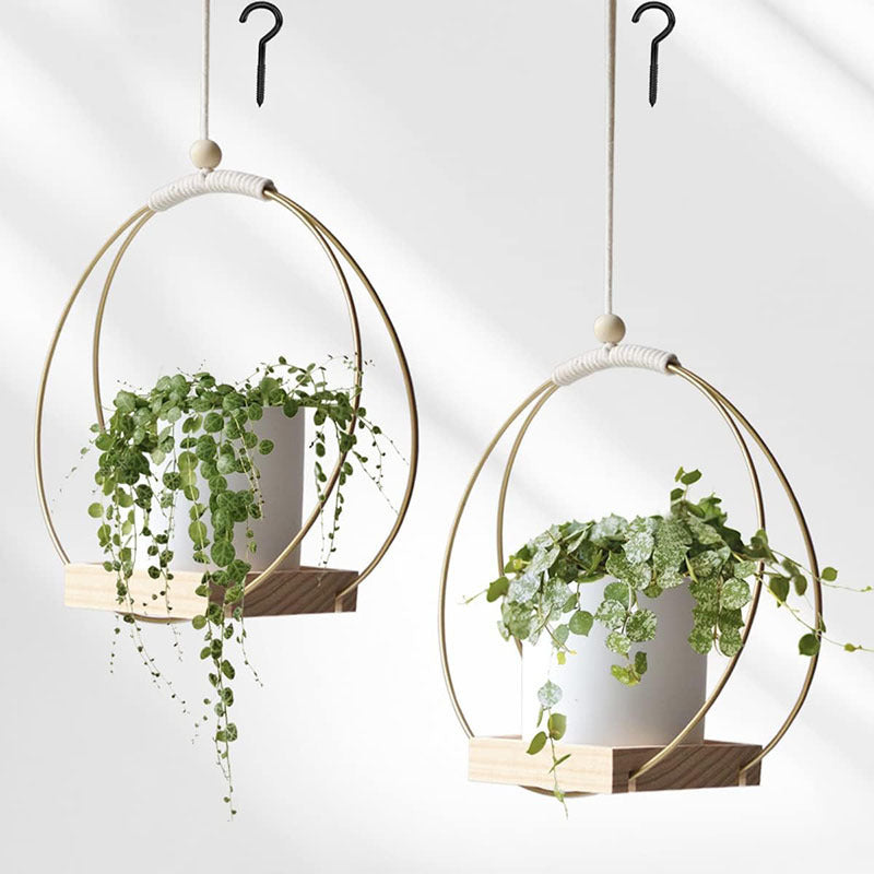 plant bracket

