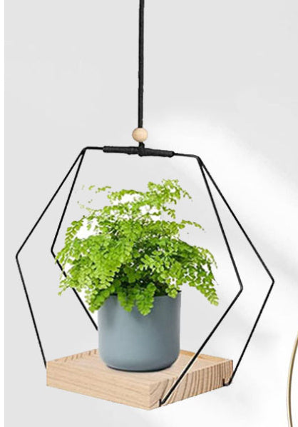 plant bracket

plant bracket

