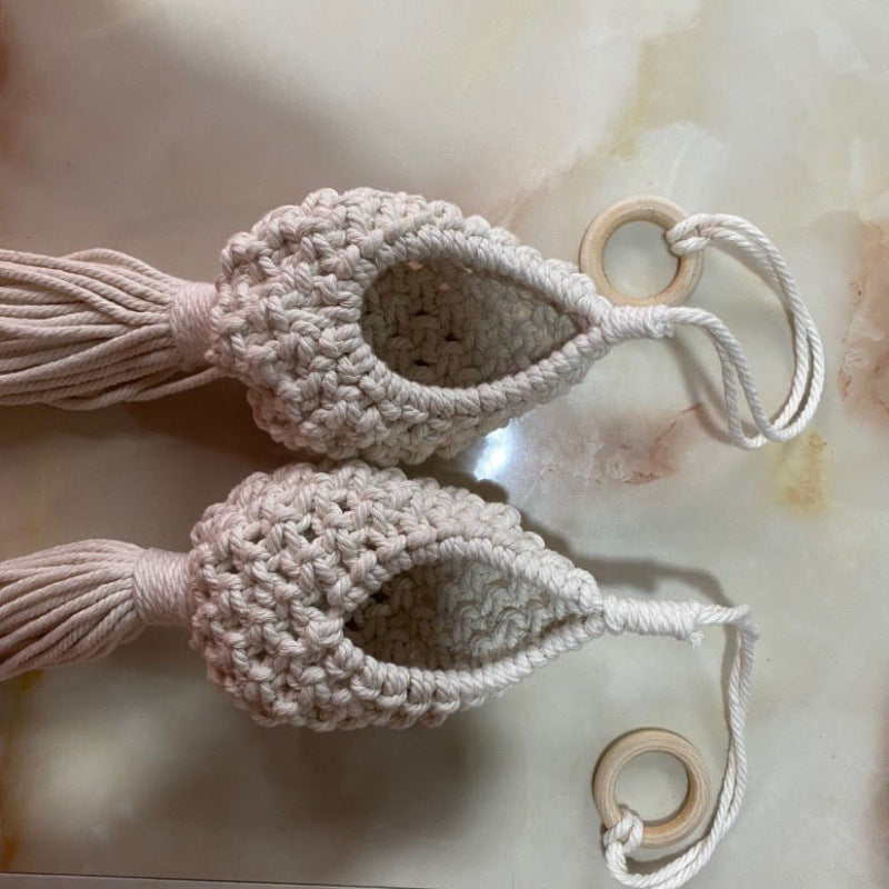 air plant holder

