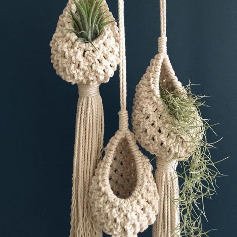 air plant holder

