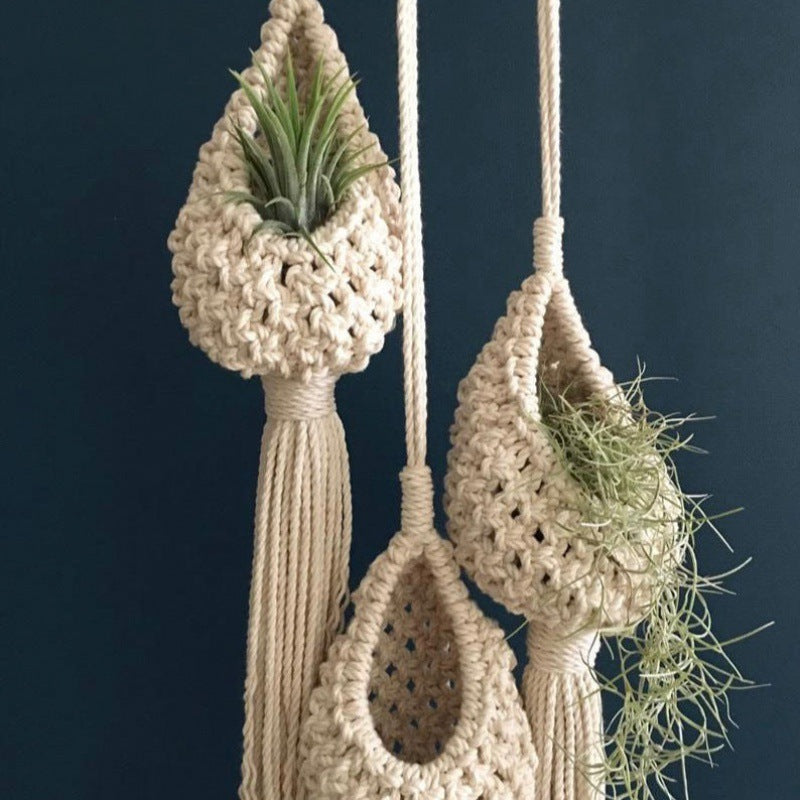 air plant holder

