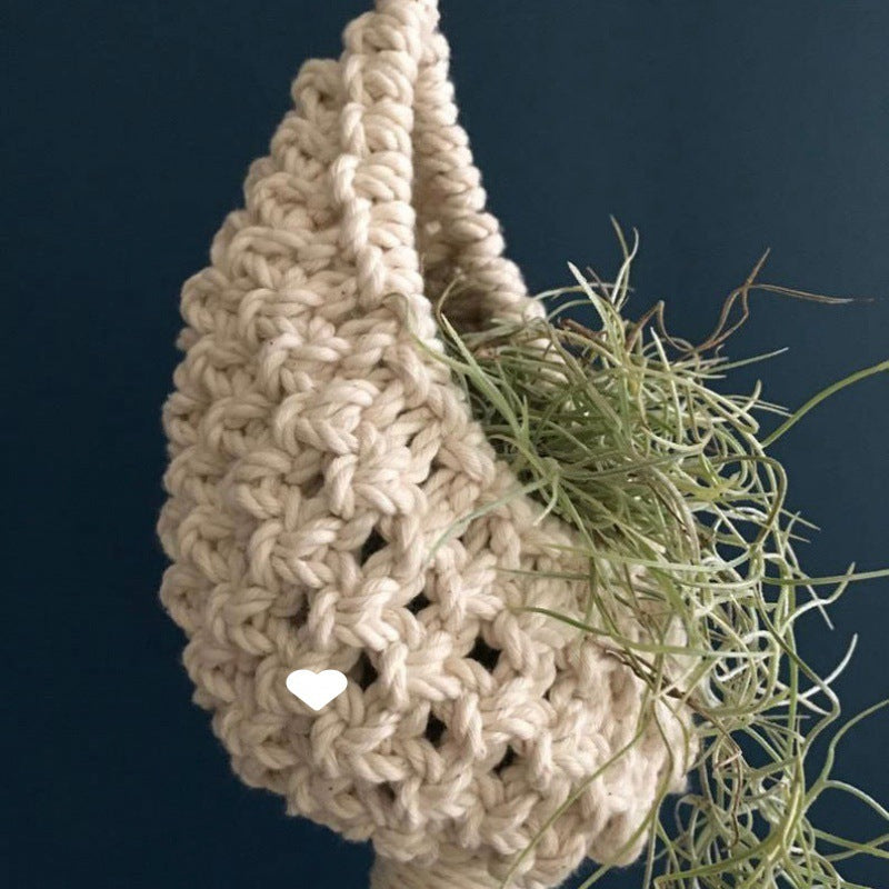 air plant holder

