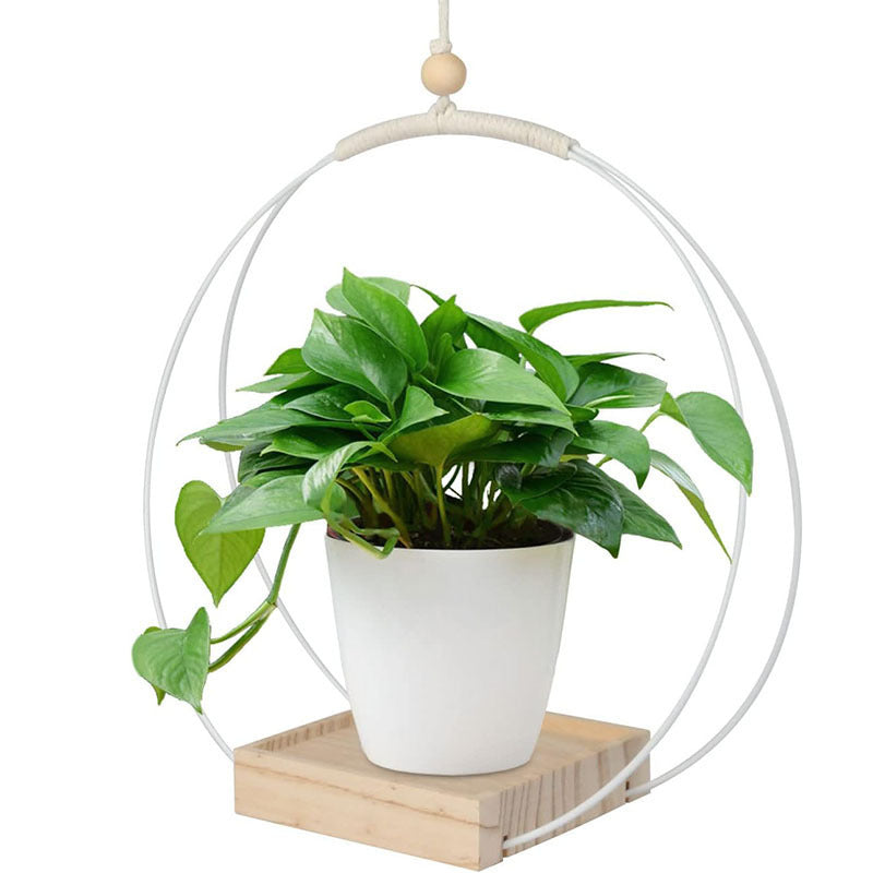 plant bracket


