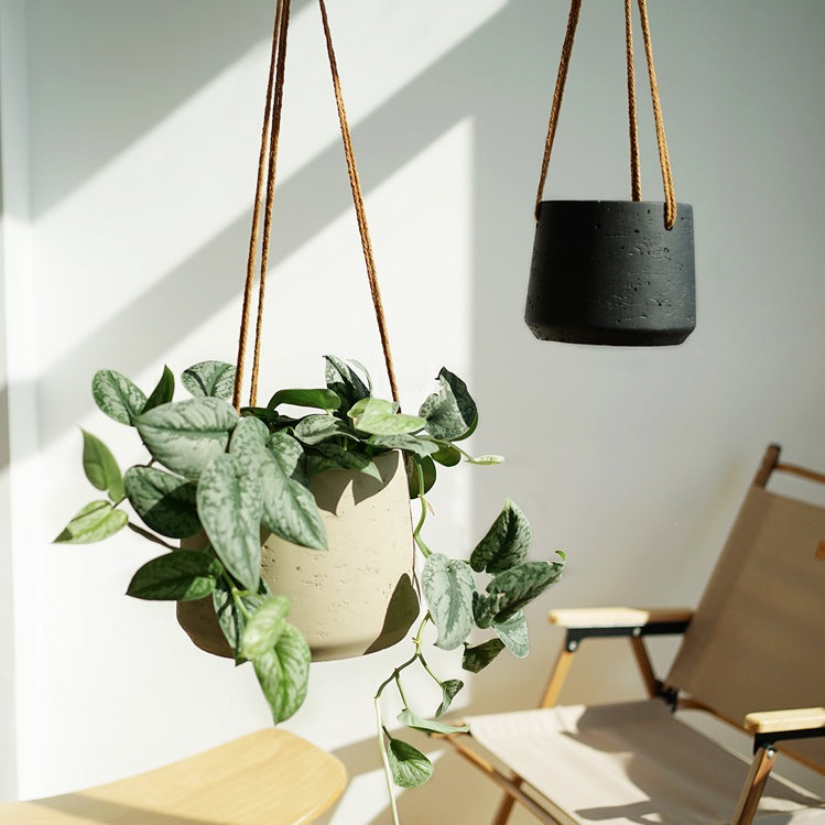 cement flower pot

