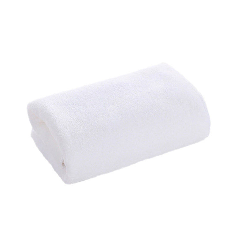 Absorbent Towel for Pets

