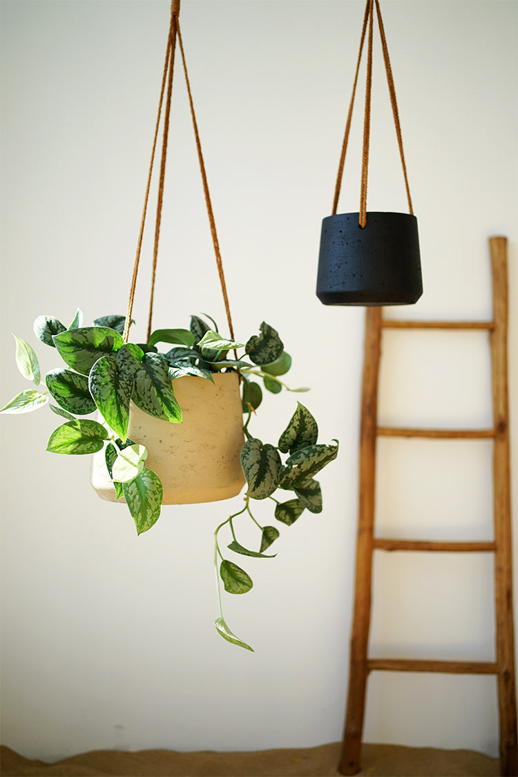 cement flower pot

