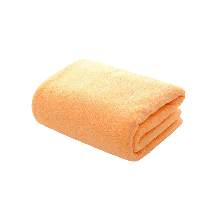 Absorbent Towel for Pets

